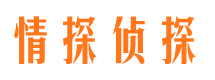 汪清市私人侦探